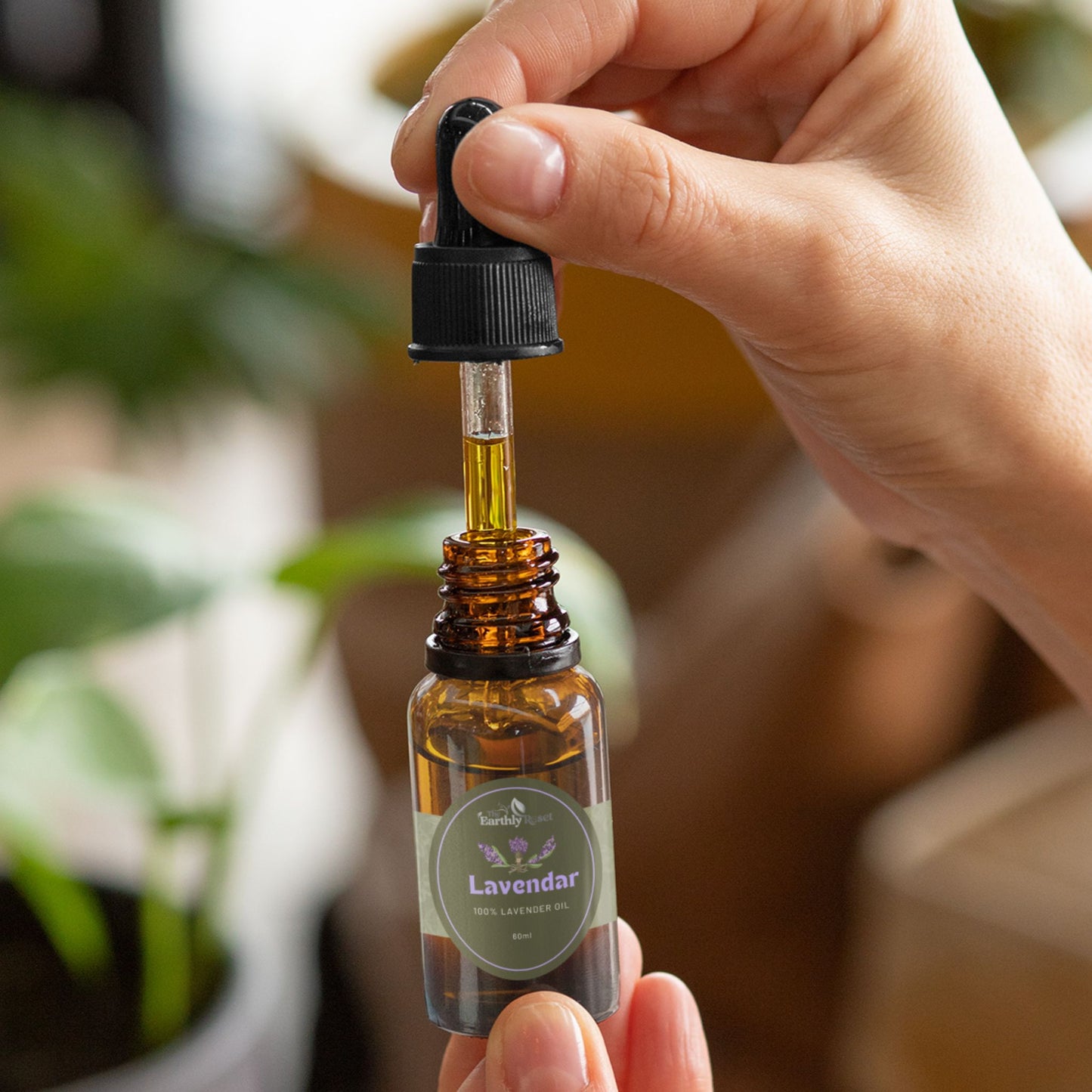 Lavender Oil
