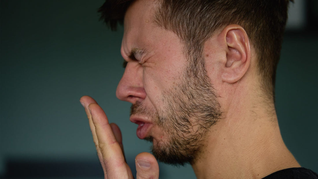 5 Herbs That Fight Bad Breath