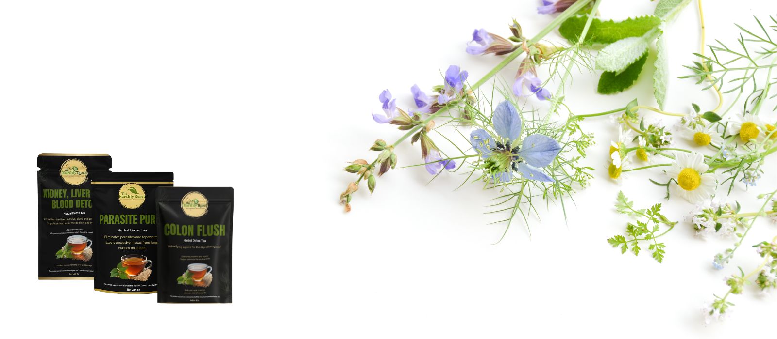Hero_Banner_earthly_reset2